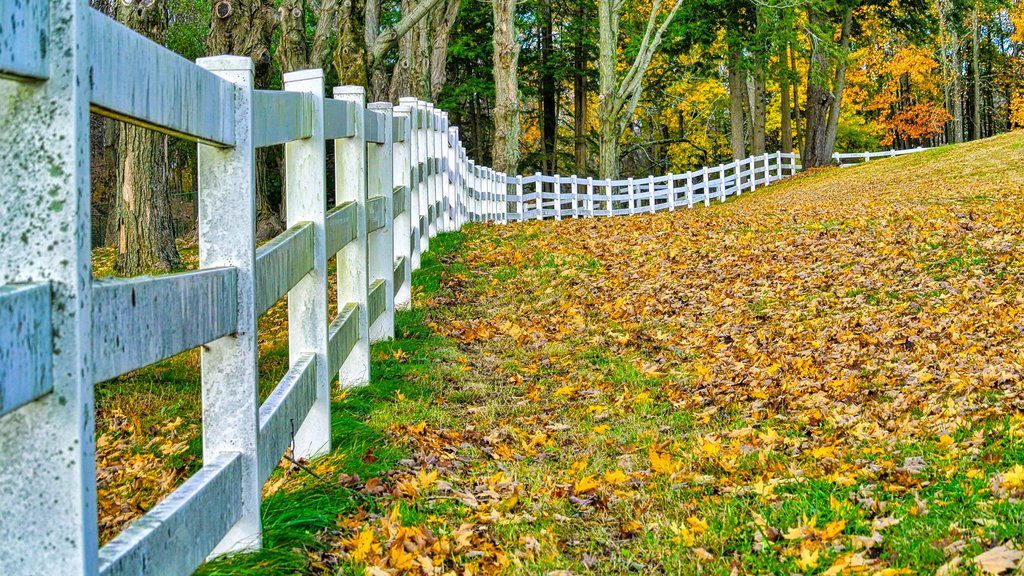 the 10 different types of fencing