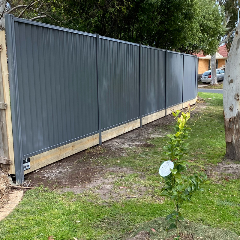 Colorbond Fences